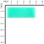 Filter, Air Cleaner Foam - 597266 -  Briggs & Stratton - Genuine Spare Parts