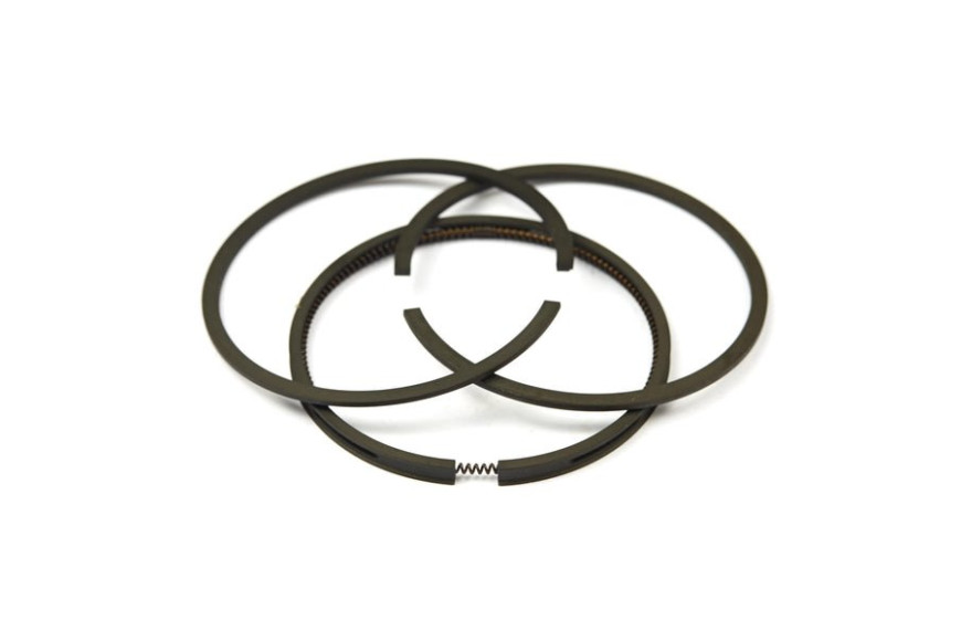 Serie Anelli Ex 391669  - 499921 - Originale Briggs & Stratton