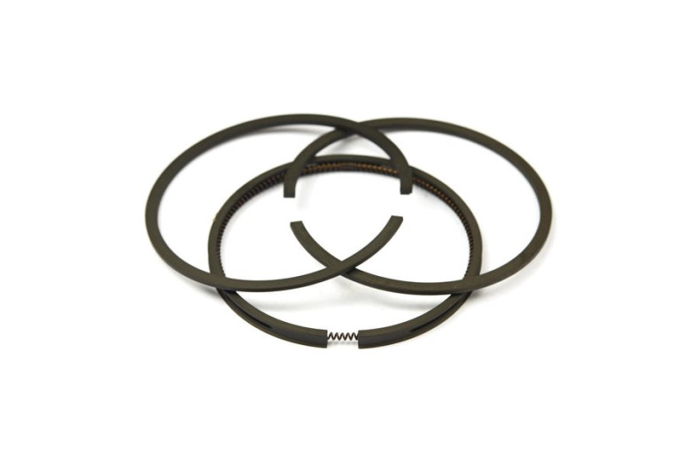 Serie Anelli Ex 391669  - 499921 - Originale Briggs & Stratton