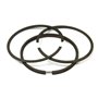 Serie Anelli Ex 391669  - 499921 - Originale Briggs & Stratton
