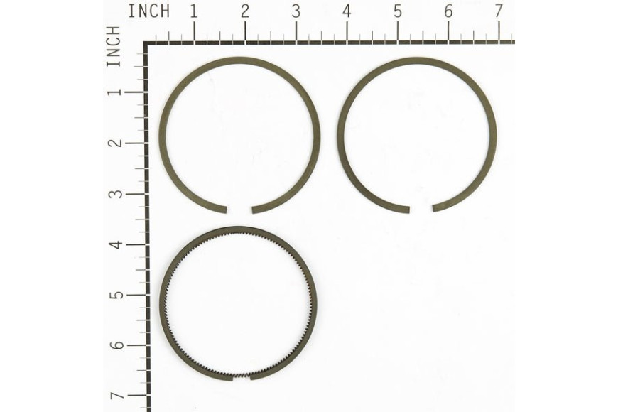 Serie Anelli Ex 391669  - 499921 - Originale Briggs & Stratton