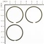 Serie Anelli Ex 391669  - 499921 - Originale Briggs & Stratton