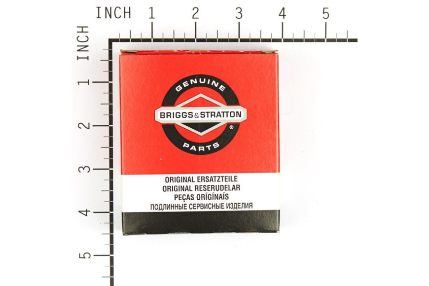 Serie Anelli Ex 391669  - 499921 - Originale Briggs & Stratton