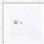 Gasket-Crankcase - 798462 - Originale Briggs & Stratton