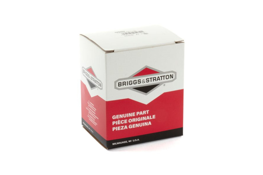 Carburetor - 595553 -  Briggs & Stratton - Genuine Spare Parts
