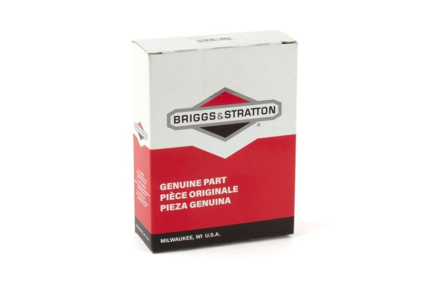 Biella - 797306 - Originale Briggs & Stratton