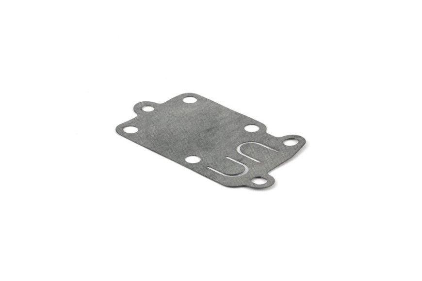 Membrana Ex272538 (4168 5 Pz) - 272538S - Originale Briggs & Stratton