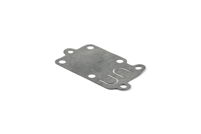 Membrana Ex272538 (4168 5 Pz) - 272538S - Originale Briggs & Stratton
