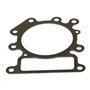 Guarnizione Testa Monocilindrico Intek Avs 31F/31M/331/33M,R,S - 000  - 794114 - Originale Briggs & Stratton