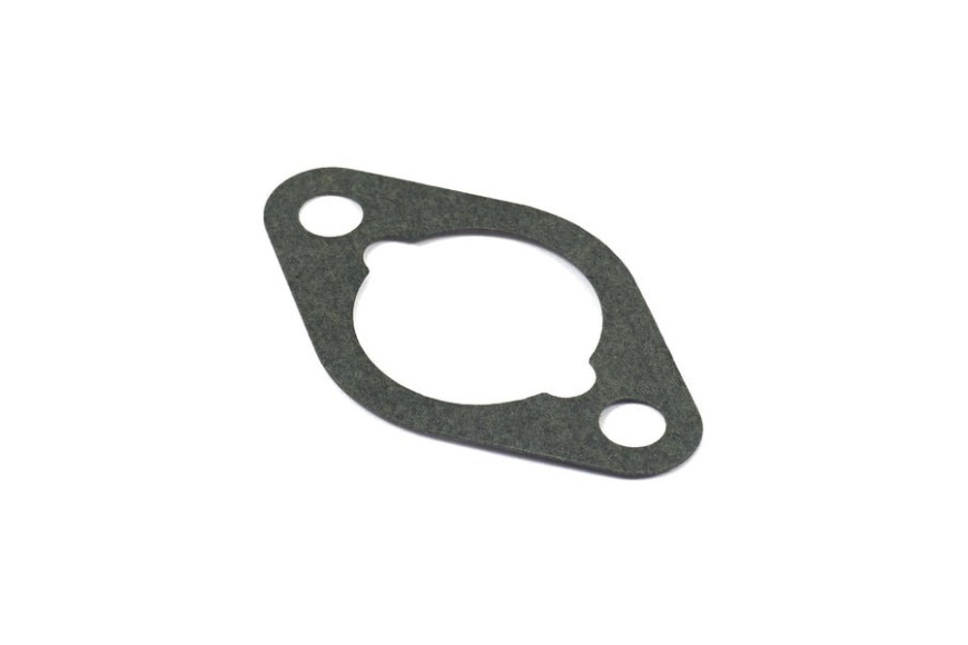 Guarnizione Vanguard 115400 - 710060 - Originale Briggs & Stratton