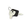 Set Chiavi Avviamento (2Pz)   - Originale Snapper - 1717163SM