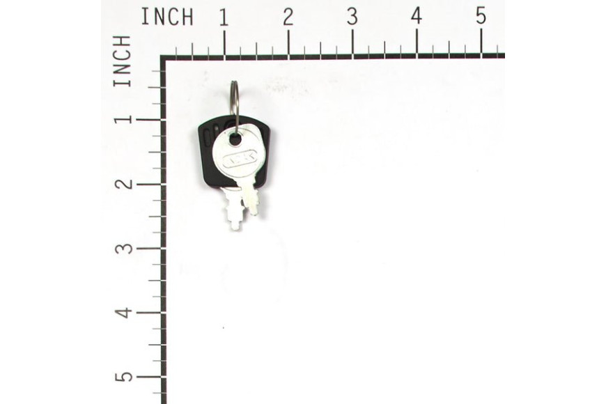 Set Chiavi Avviamento (2Pz)   - Originale Snapper - 1717163SM