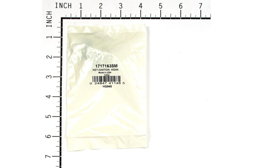 Set Chiavi Avviamento (2Pz)   - Originale Snapper - 1717163SM