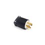 Plug-120/240V Tl30A - 43438GS -  Briggs & Stratton - Genuine Spare Parts