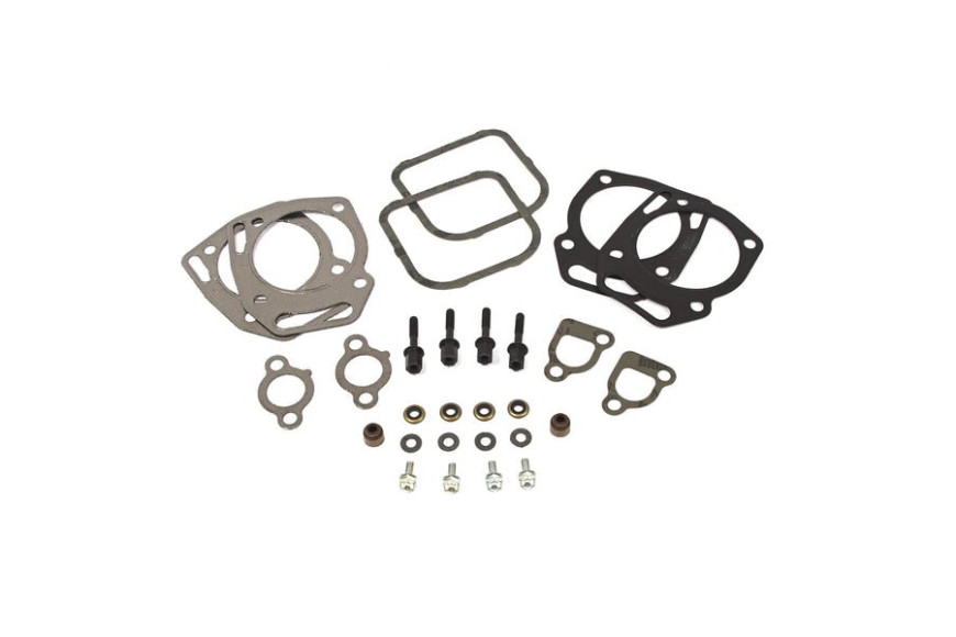 Serie Guarnizioni Ex 808391  - 841191 - Originale Briggs & Stratton