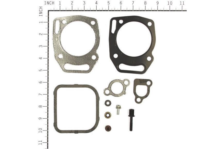 Serie Guarnizioni Ex 808391  - 841191 - Originale Briggs & Stratton