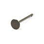 Valve-Intake - 691804 -  Briggs & Stratton - Genuine Spare Parts