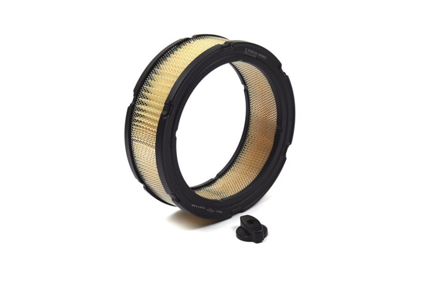 Filtro Aria - 841359 - 841359 - Originale Briggs & Stratton