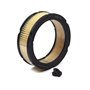 Filtro Aria - 841359 - 841359 - Originale Briggs & Stratton