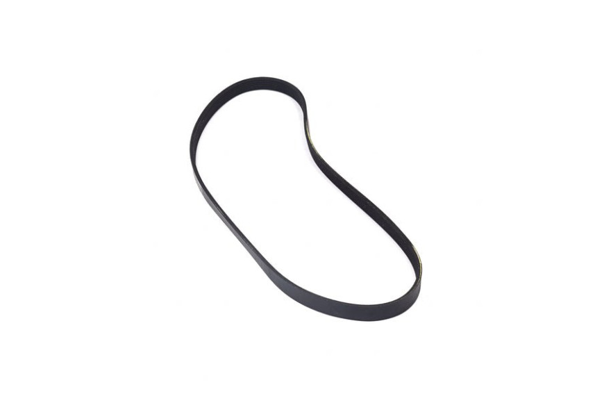 Belt - Originale Snapper - 319596MA