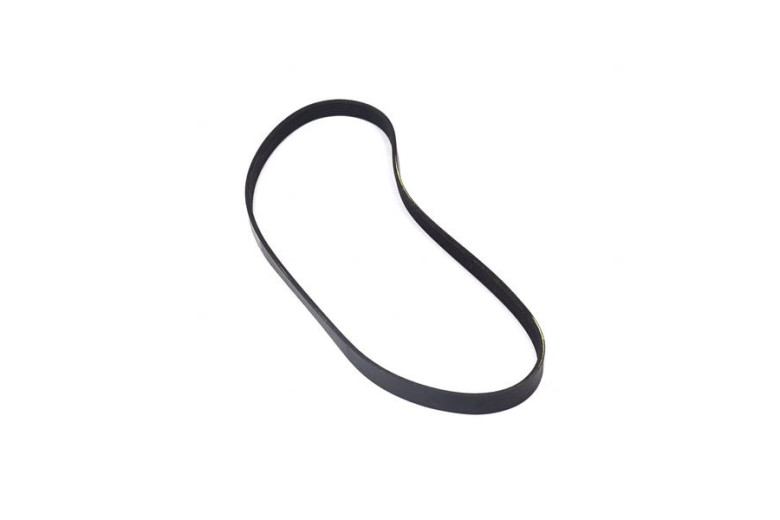Belt - Originale Snapper - 319596MA