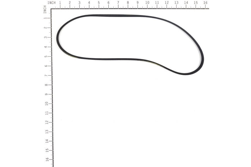 Belt - Originale Snapper - 319596MA
