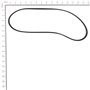Belt - Originale Snapper - 319596MA