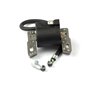 Bobina Ex 802574 - 590454 - Originale Briggs & Stratton