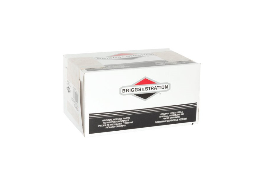 Carburatore - 595613 - Originale Briggs & Stratton