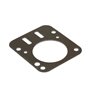 Guarnizione Testa Vari Modelli  - 698210 - Originale Briggs & Stratton