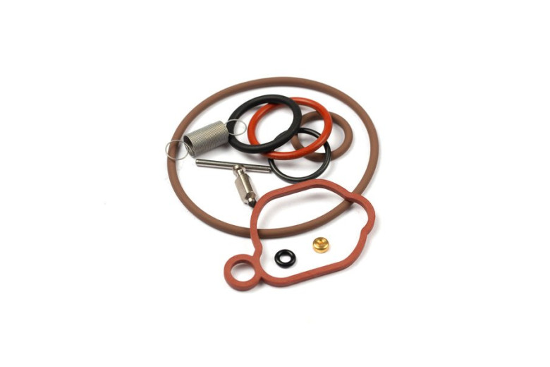 Kit Carburatore 09P  - 590589 - Originale Briggs & Stratton