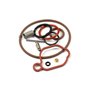 Kit Carburatore 09P  - 590589 - Originale Briggs & Stratton