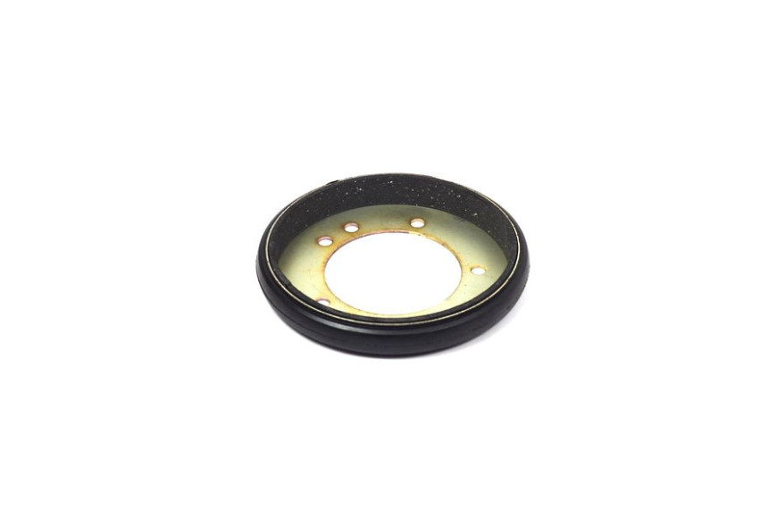 Disco Trazione Rider - Originale Snapper - 7600135YP