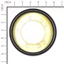 Disco Trazione Rider - Originale Snapper - 7600135YP