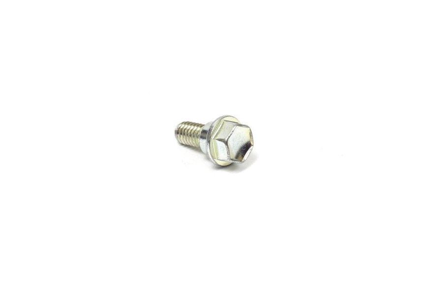 Vite Alzaruote 5/16-18 X 3/4'' - Originale Snapper - 703839