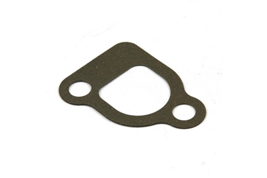 Guarniz. Col.Asp. 805023 - 692035 - Originale Briggs & Stratton