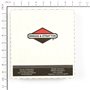 Ruota Anteriore Espv21 8X2 - Originale Snapper - 7500540YP