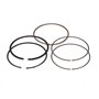 Serie Segmenti Std - 809972 - Originale Briggs & Stratton