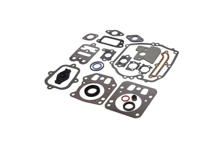 Serie Guarnizioni Intek Verticali Fino A 6,5 Hp 110600, 121600, 122600 Ecc.  - 795442 - Originale Briggs & Stratton