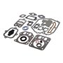 Serie Guarnizioni Intek Verticali Fino A 6,5 Hp 110600, 121600, 122600 Ecc.  - 795442 - Originale Briggs & Stratton