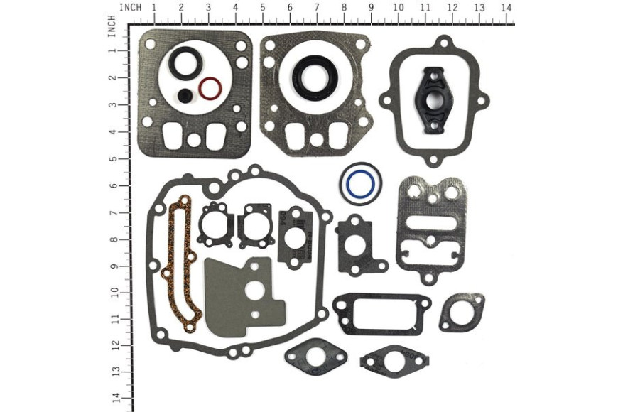 Serie Guarnizioni Intek Verticali Fino A 6,5 Hp 110600, 121600, 122600 Ecc.  - 795442 - Originale Briggs & Stratton