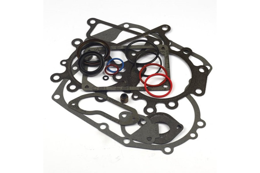 Serie Guarnizioni Ex 697191/794150 - 796187 - Originale Briggs & Stratton