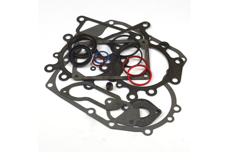 Serie Guarnizioni Ex 697191/794150 - 796187 - Originale Briggs & Stratton