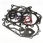 Serie Guarnizioni Ex 697191/794150 - 796187 - Originale Briggs & Stratton