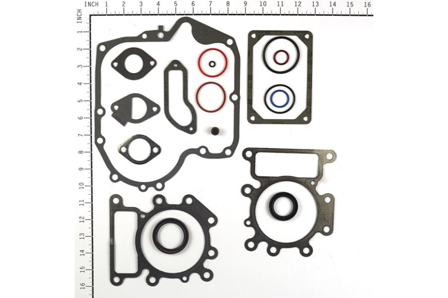 Serie Guarnizioni Ex 697191/794150 - 796187 - Originale Briggs & Stratton