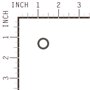 Tenuta Rondella Ex 066594 - 691608 - Originale Briggs & Stratton