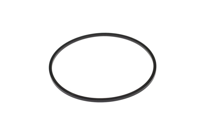 Guarnizione Vaschetta Carburatore 2 - 806481 - Originale Briggs & Stratton