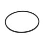 Guarnizione Vaschetta Carburatore 2 - 806481 - Originale Briggs & Stratton
