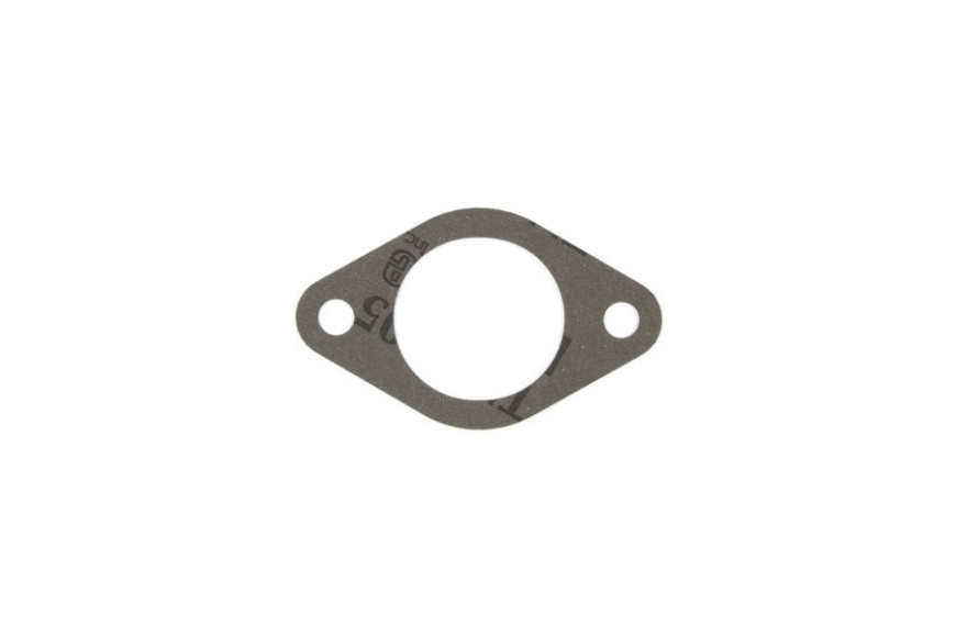 Guarn. Carburatore - 272569S - Originale Briggs & Stratton