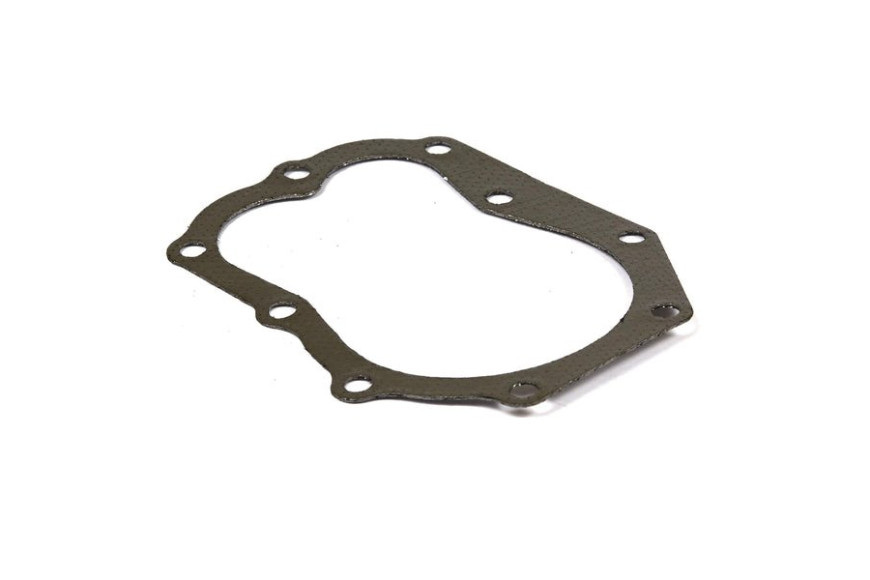 Guarn. Testa Ex270983 - 271868S - Originale Briggs & Stratton